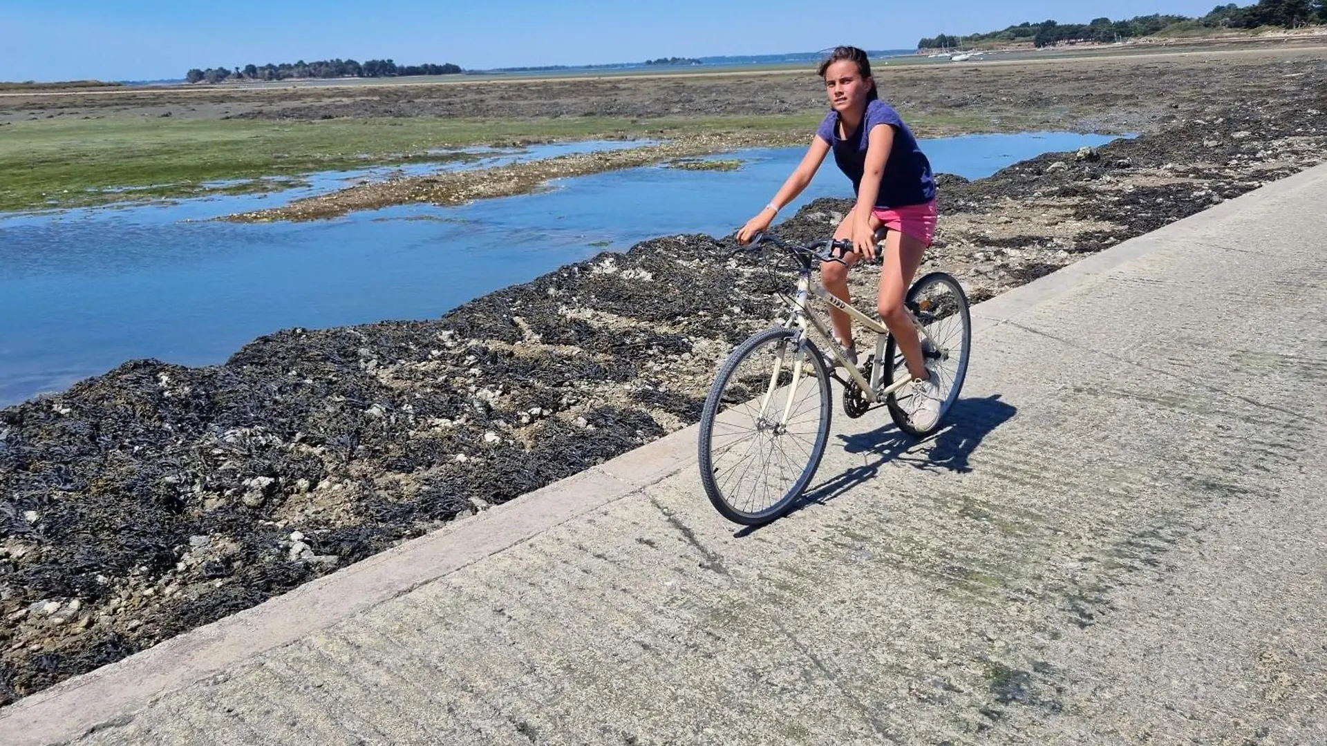 Maison Golfe Du Morbihan - Vue Mer - Plage A 600M - 6 Chambres Sene France