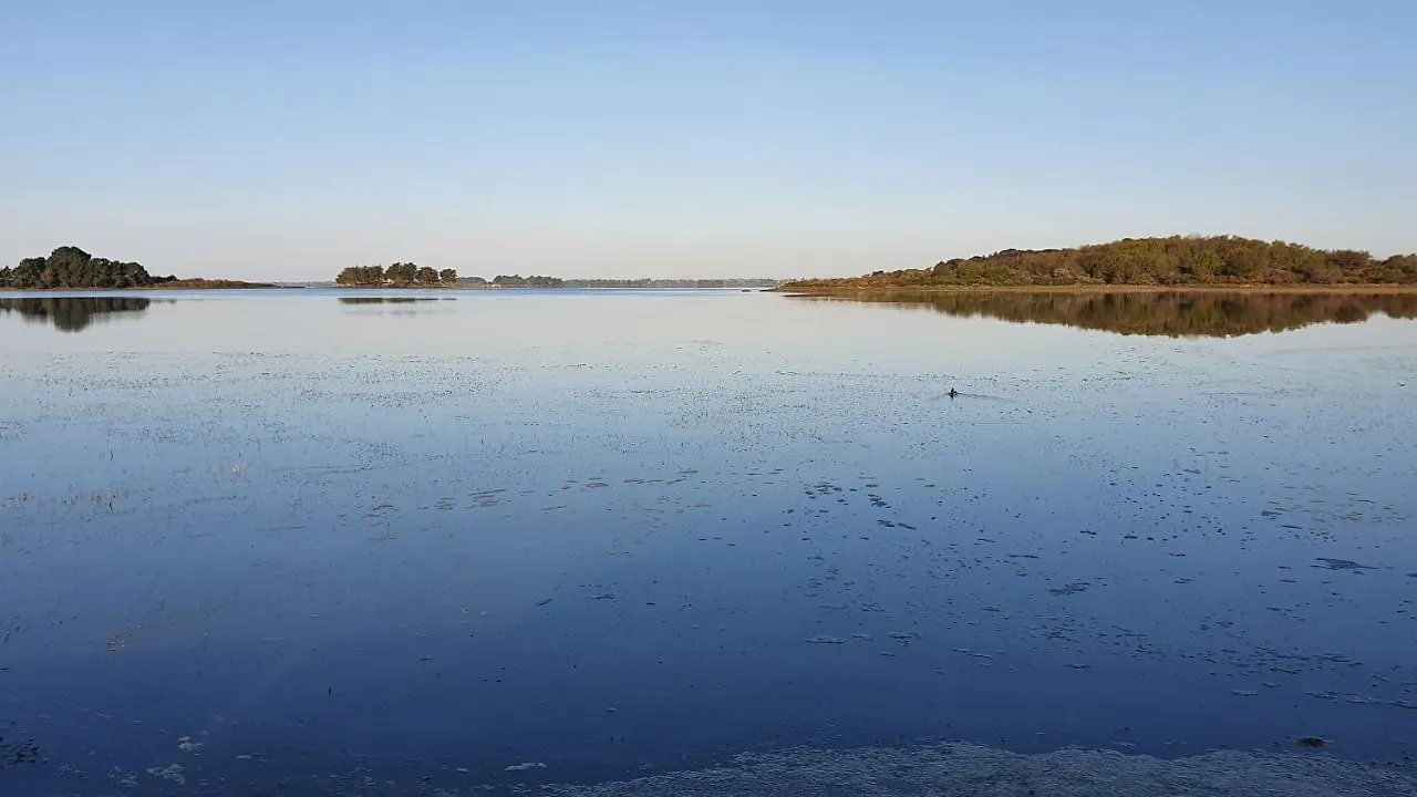 Holiday home Maison Golfe Du Morbihan - Vue Mer - Plage A 600M - 6 Chambres Sene